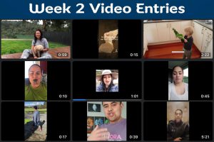 #mōtereo week 2 video entries