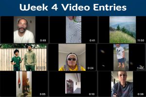 #mōtereo week 4 video entries